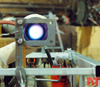 Combustor flame